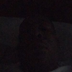 Meet your Posher, Terrence